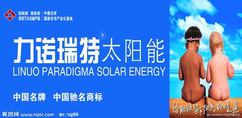 产品库 商务服务 商务服务 维修安装服务 力诺瑞特太阳能维修价格厂家
